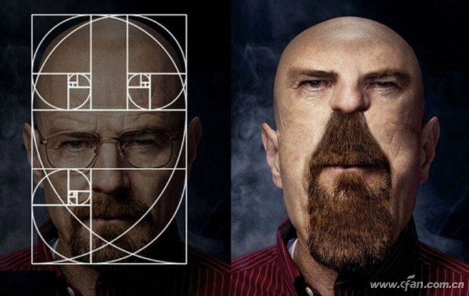 PPT下黄金分割功能用方法