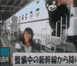 熊本熊表情包v2.0绿色纯净版