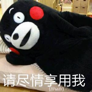 熊本熊表情包v2.0绿色纯净版