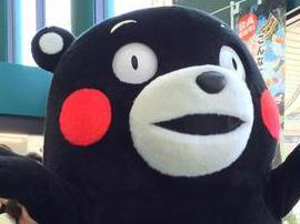 熊本熊表情包v2.0绿色纯净版