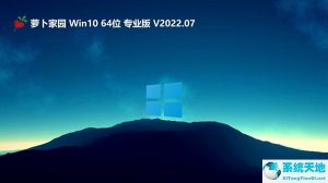 萝卜家园 Windows 10 64位 强化游戏版 V2022.07