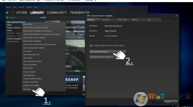 Windows 10玩存活进化游戏出现“视频驱动程序崩溃并被重置”错误怎么样修复