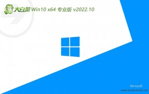 大白菜 Windows 10 64位多驱动好使版 v2022.10