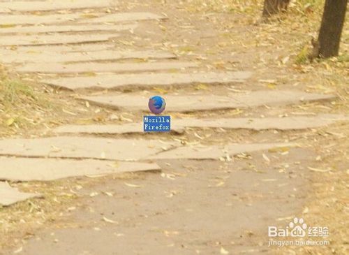 Firefox(火狐浏览器) v61.0.2免费版