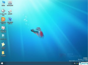 番茄花园Windows 10 2004 专业版 64位ISO系统下载 2020.08