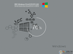 Windows 10专业版纯净版下载|最新Windows 10 64位专业版[永久激活纯净系统]V2024