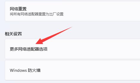 Windows 11怎么样修改DNS Windows 11修改DNS的操作办法