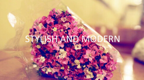 如何使用会声会影x8 塑造幻灯片相册