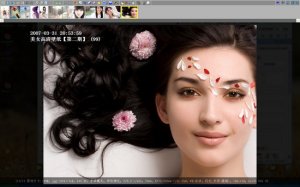 2019新版bkViewer v5.4d正式版