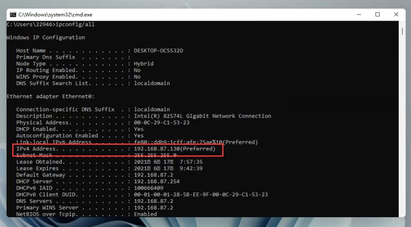 Windows 11ip地址在哪儿看？Windows 11查询本机地址的办法