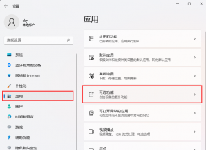 Windows 11怎么用TPM诊断功能？Windows 11启用TPM诊断功能的办法