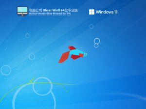 电脑公司 Ghost Windows 11 64位 迅速装机版