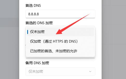 Windows 11怎么样加密DNS-Windows 11加密DNS详细课程